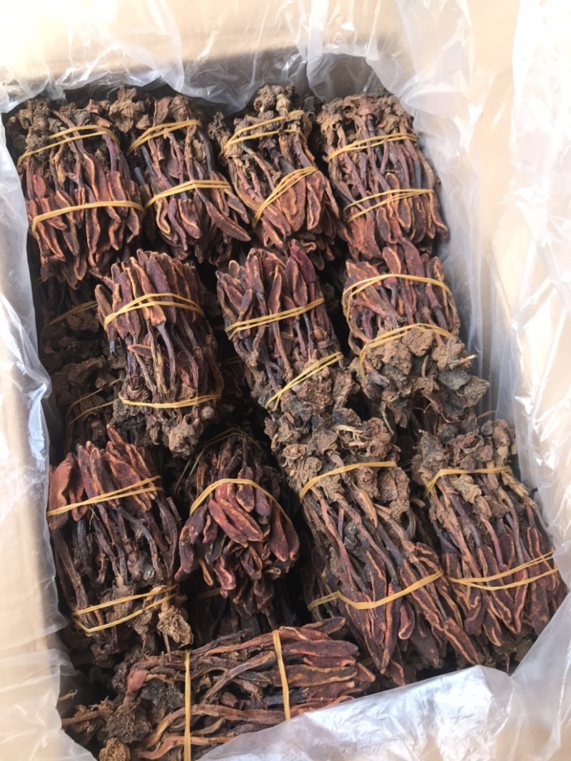 回春草优质好货一手货源现货秒发