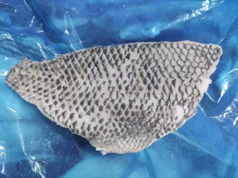 脆肉罗非鱼活鱼及新鲜活鱼分切好的鱼片等