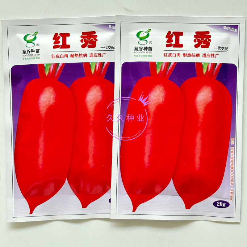 红秀萝卜种子杂交耐热抗病白肉质脆嫩品质佳适应广夏秋