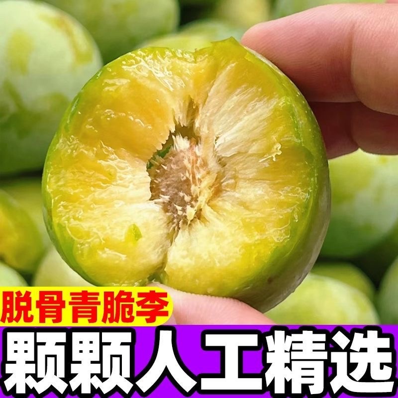 贵州青脆李4月李