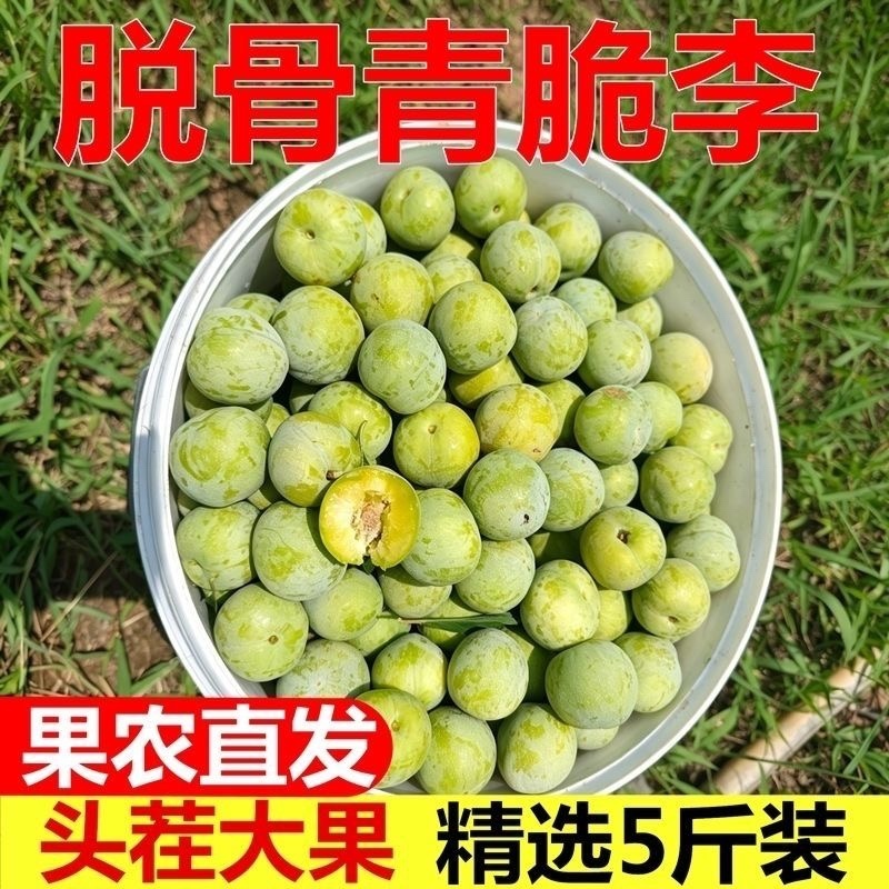 贵州青脆李4月李