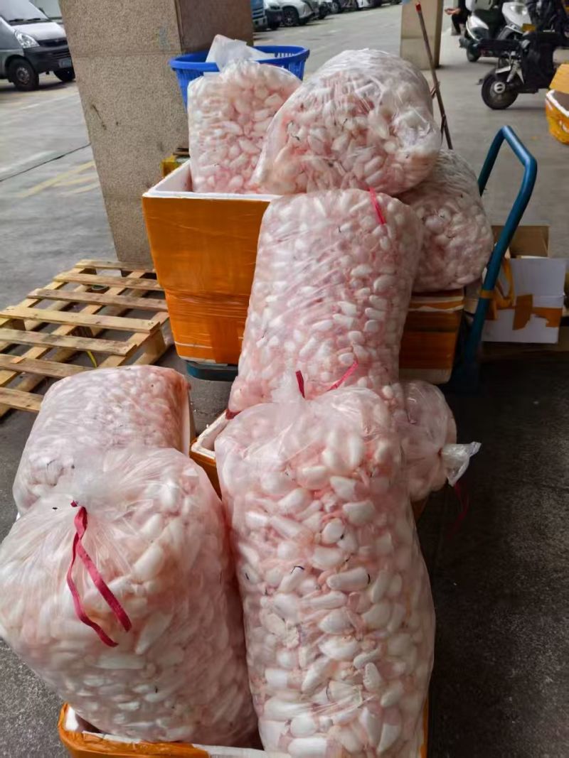新鲜鱼泡长期大量有货，一手货源，品质保证，量大从优