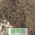 肿节风今年新货薄利多销量大从优物美价廉