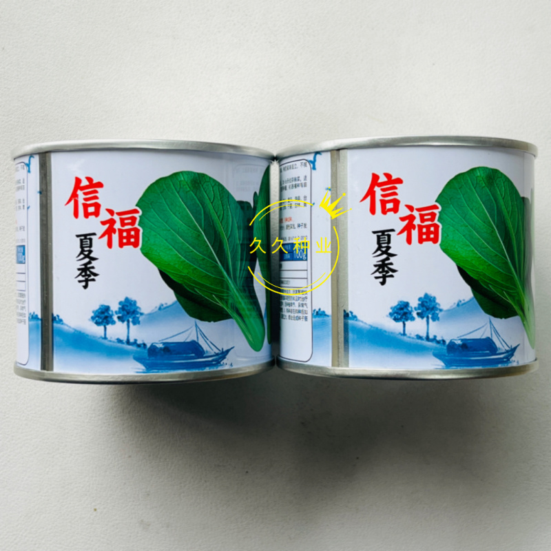信福夏季青梗菜种子耐热耐湿直立青梗绿叶高温不卷叶