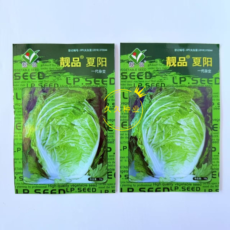 靓品夏阳大白菜种子早熟结球速度快特耐高温抗病抗湿农家蔬菜
