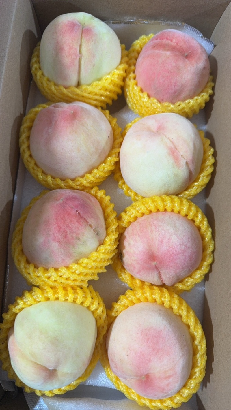 阳山水蜜桃