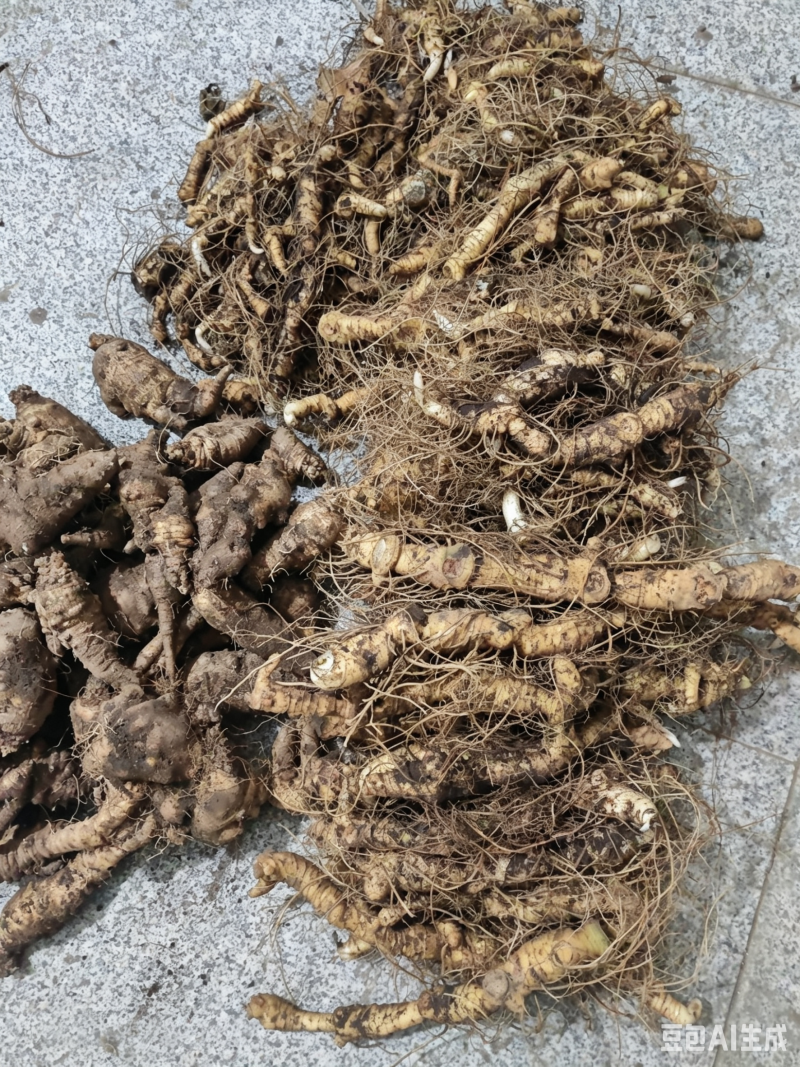 大别山马鞭黄精长条的，规格可选，也生货！