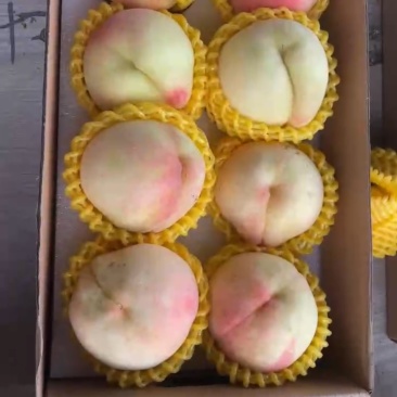 水蜜桃