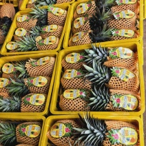 热带水果，金钻，黑钻，凤梨（一年四季不断货）