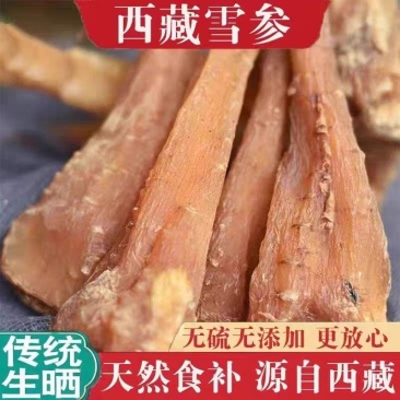 藏雪藏雪参参雪正品西藏特产泡酒料藏天然血参新鲜煲汤无糖