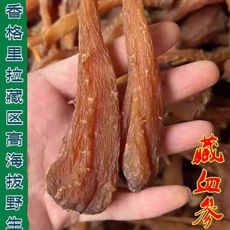 藏雪藏雪参参雪正品西藏特产泡酒料藏天然血参新鲜煲汤无糖