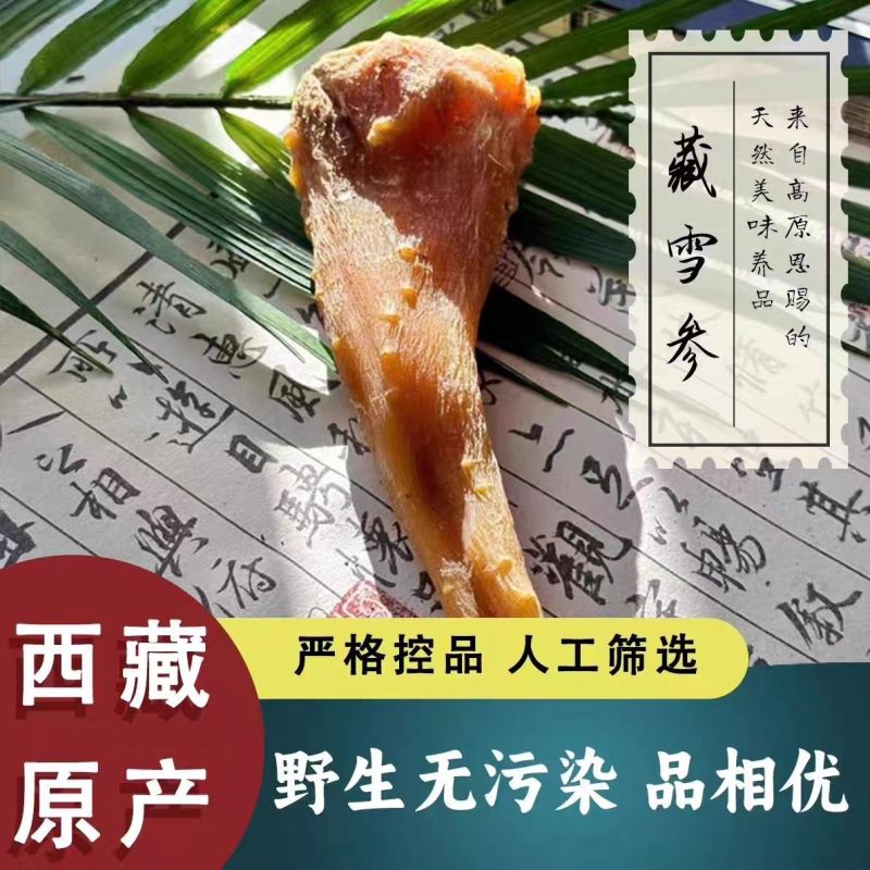 藏雪藏雪参参雪正品西藏特产泡酒料藏天然血参新鲜煲汤无糖