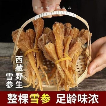 新货天然高海拔野生雪参西藏天然正品藏雪参***
