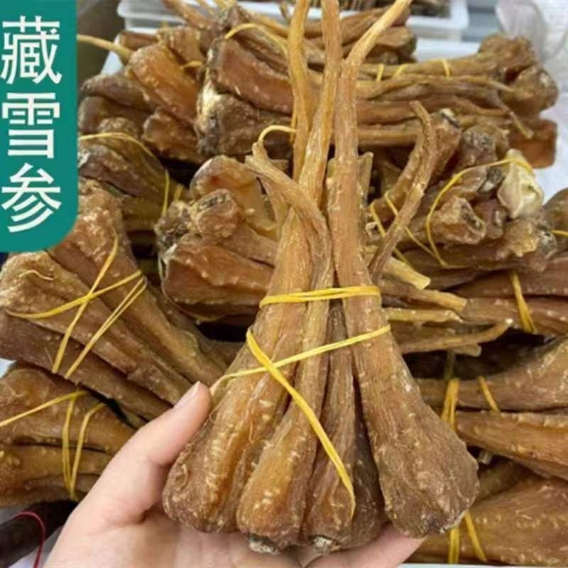 新货天然高海拔野生雪参西藏天然正品藏雪参***