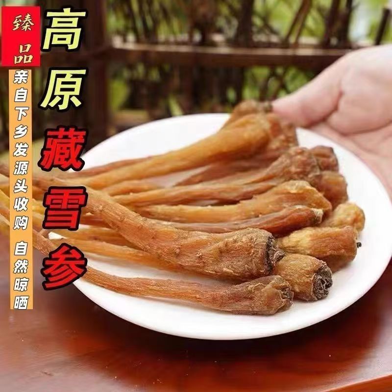 新货天然高海拔野生雪参西藏天然正品藏雪参***