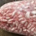 新鲜白鲢鱼泡全国发货量大从优可视频看货