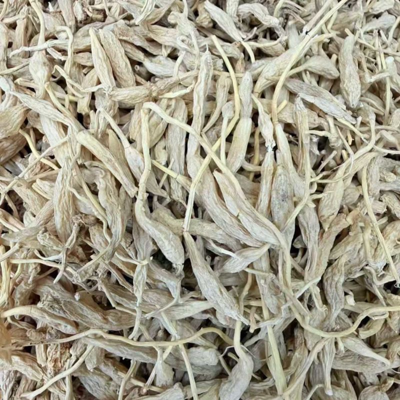 带须麦冬