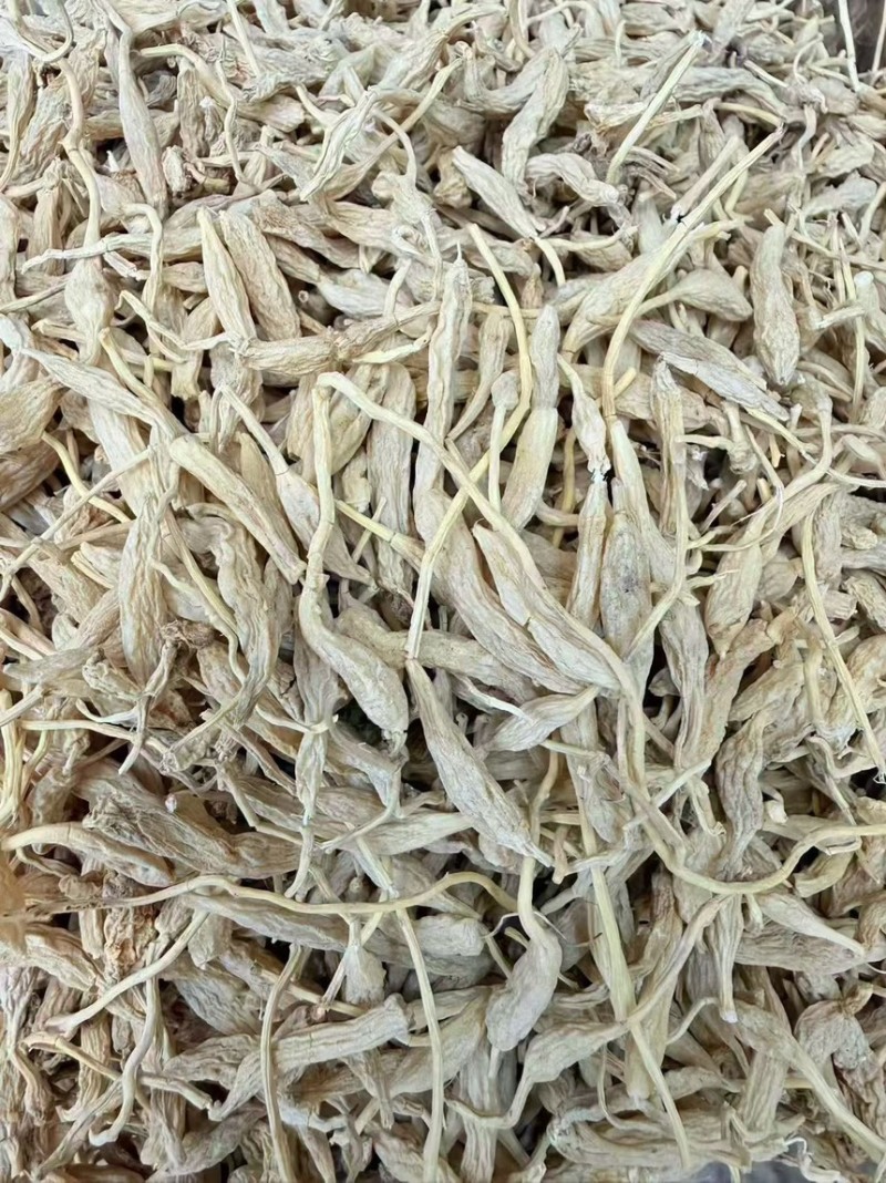 带须麦冬
