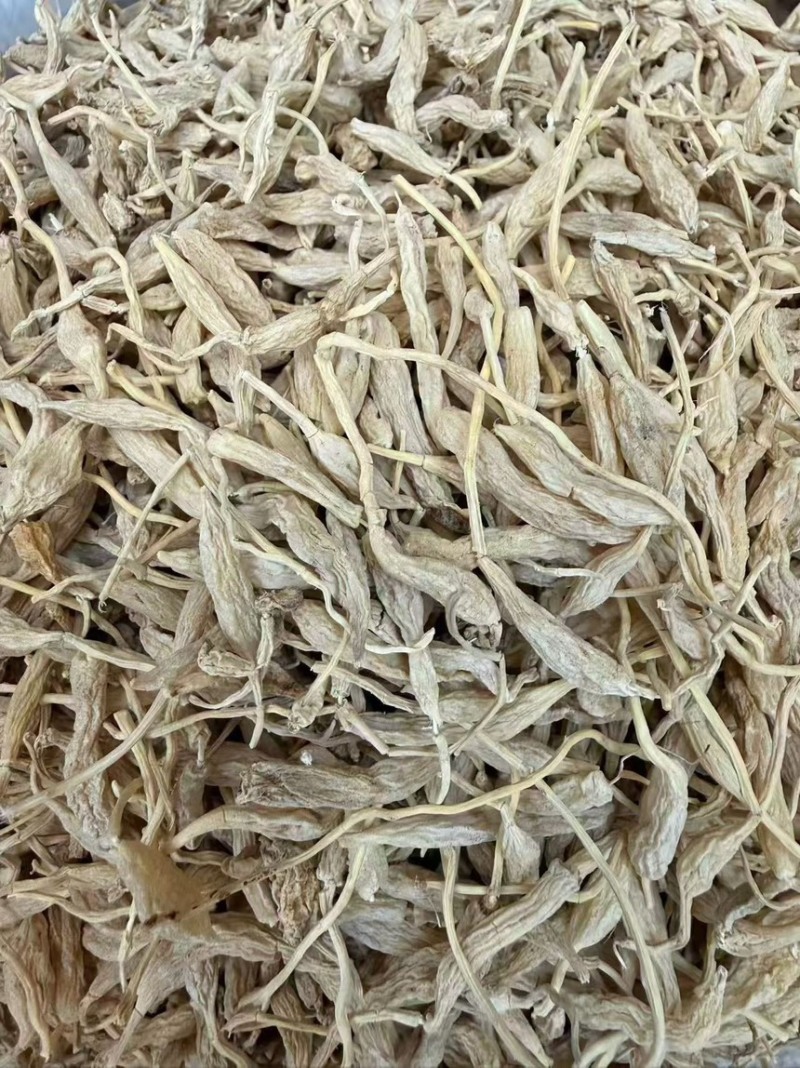 带须麦冬