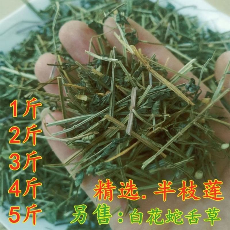 中药材批发半支莲半枝莲挖耳草通经草可搭配白花蛇舌草包邮