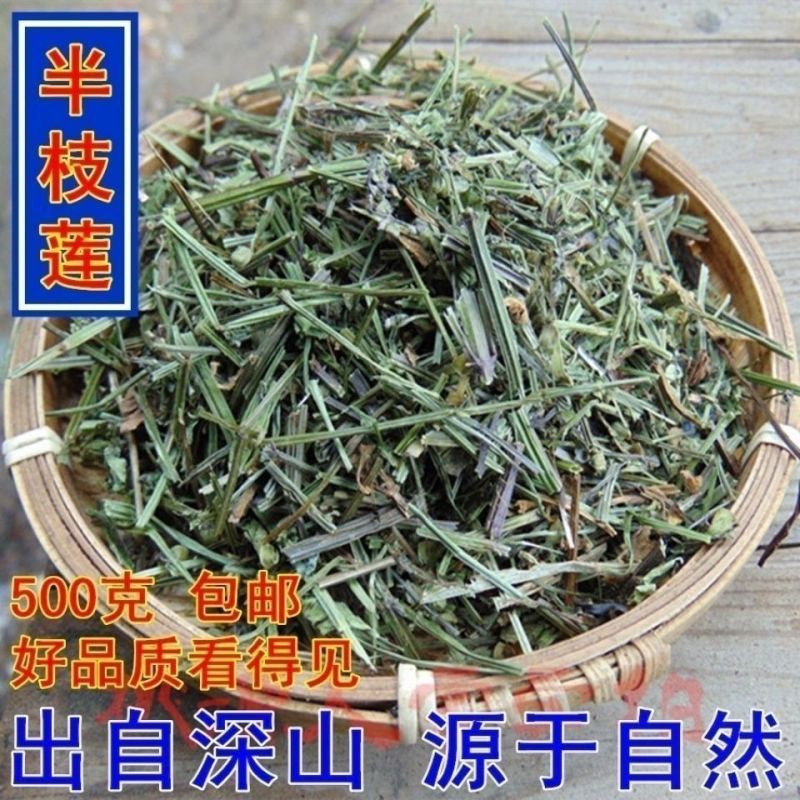 中药材批发半支莲半枝莲挖耳草通经草可搭配白花蛇舌草包邮