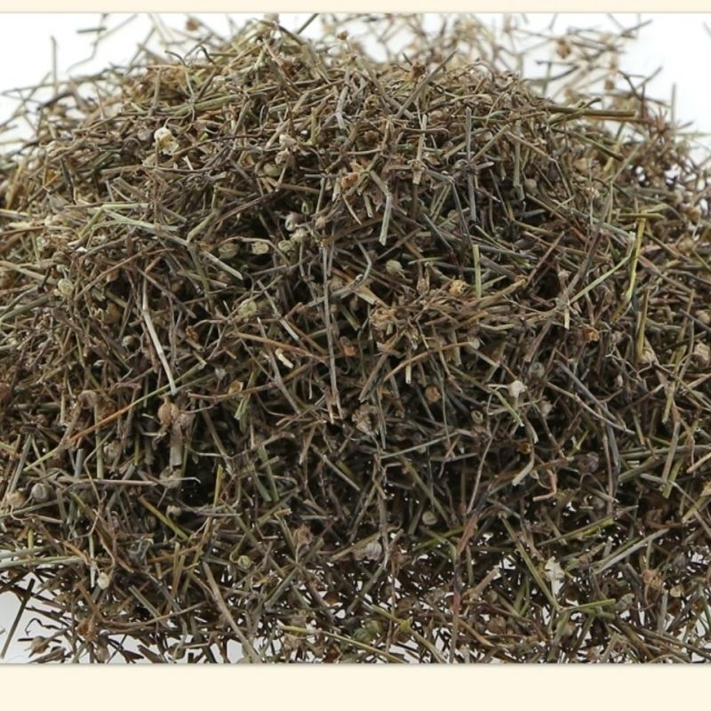 中药材白花蛇舌草白花蛇草可搭配半枝莲铁树叶新货