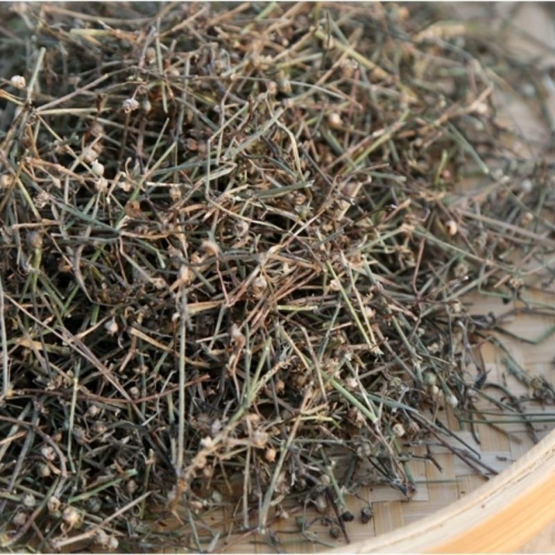 中药材白花蛇舌草白花蛇草可搭配半枝莲铁树叶新货