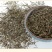 中药材白花蛇舌草白花蛇草可搭配半枝莲铁树叶新货