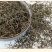 中药材白花蛇舌草白花蛇草可搭配半枝莲铁树叶新货