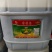 二级菜籽油三级菜籽油散油大量走货欢迎订购