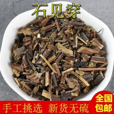 石见穿中药材包邮正品新鲜紫参石打穿月下红石大川新鲜干货