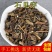 石见穿中药材包邮正品新鲜紫参石打穿月下红石大川新鲜干货