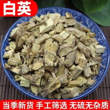 白英500g克包邮中草药新货蜀羊泉正品毛排风藤白毛藤