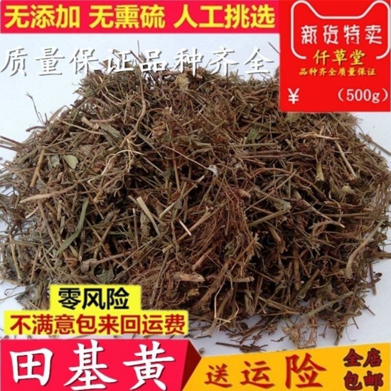 新货中药材田基黄500克包邮地耳草黄花草雀舌草跌水