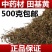 新货中药材田基黄500克包邮地耳草黄花草雀舌草跌水