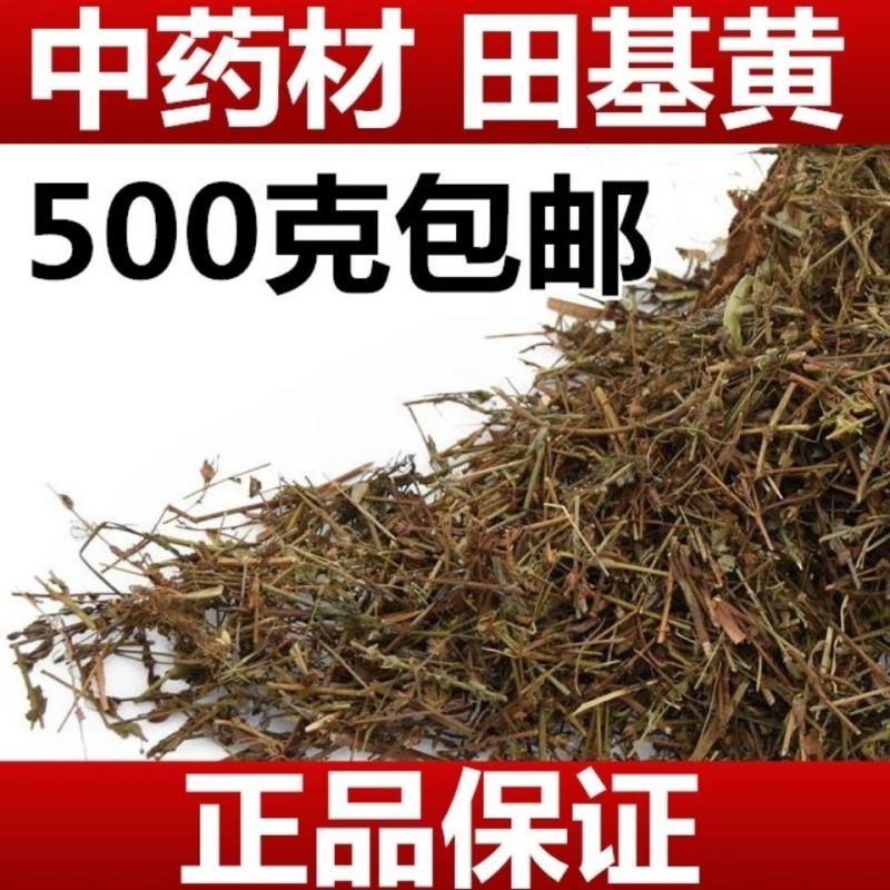 新货中药材田基黄500克包邮地耳草黄花草雀舌草跌水