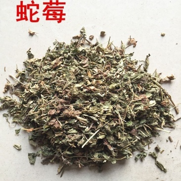 蛇莓中药材草蛇草地包邮蛇干货三叶莓龙吐珠新货草莓