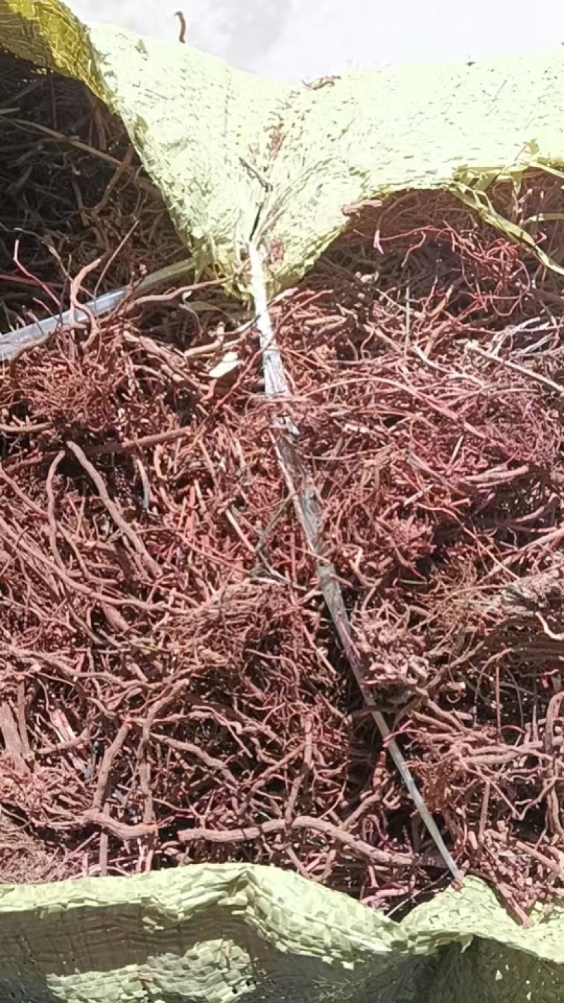 莤草通货