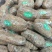 大批量精品乌天麻