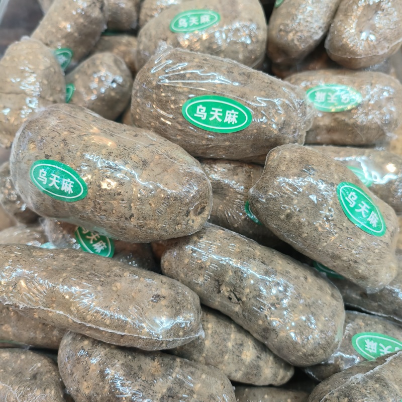 大批量精品乌天麻