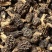 纯野生羊肚菌买家验货不满意快递员在场随时退货快递费自理