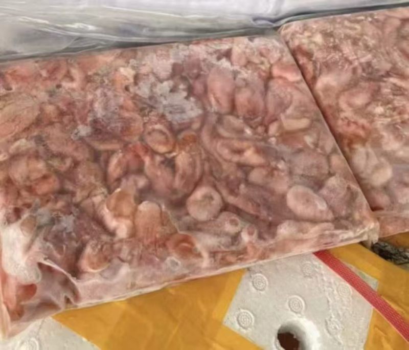鱼肚20斤一件