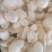 蚕茧壳批发蚕茧壳蚕壳质量保证量大从优