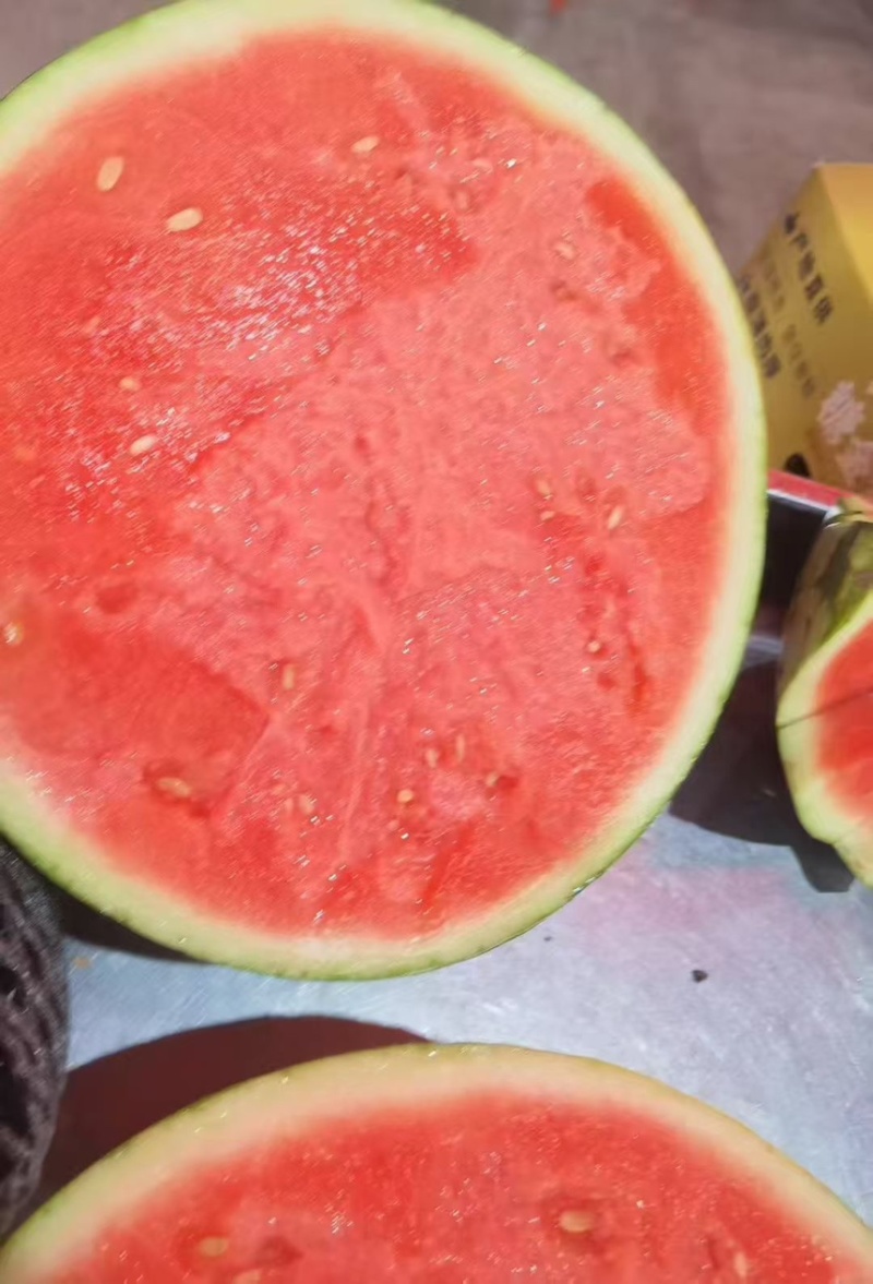 大棚无籽西瓜，精品麒麟美都，现货现发量大从优，一手货源