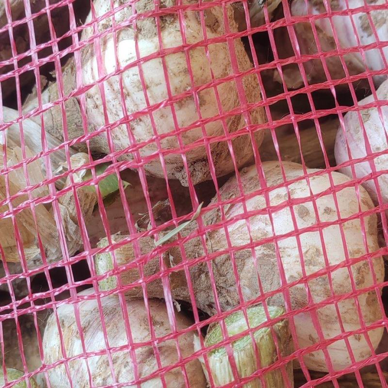 山东新鲜大蒜通货大量上市基地直发质量保证量大优惠