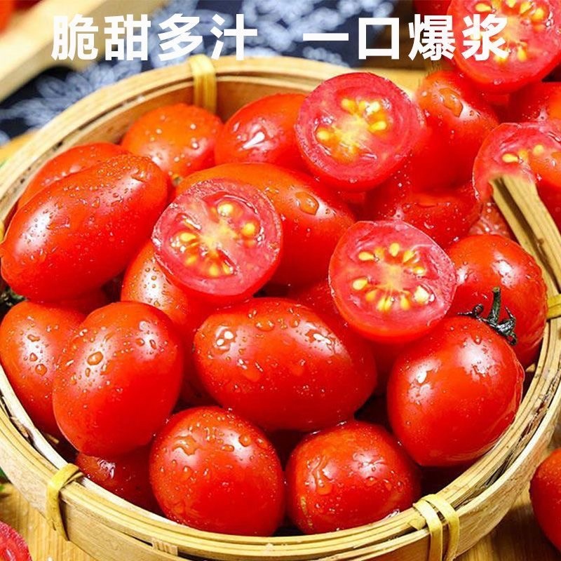 山东莘县圣女果中国蔬菜**县源头直供当天采摘