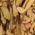 野生甘草片颜色好味道足甘草大片甘草斜片圆片有货代发批发