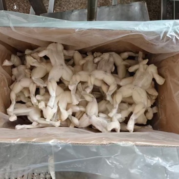 牛蛙60到110克，嫩化处理的，洗冰6.8斤净重，1600箱