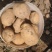 精品实验1号土豆大量上市品质保证量大从优一手货源