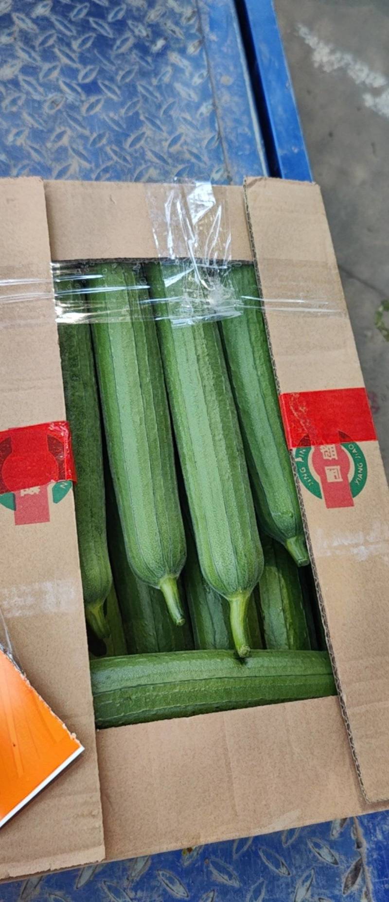 本地精品油皮丝瓜